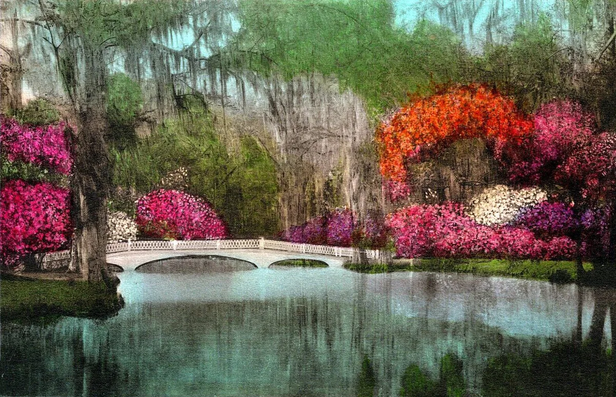 South Carolina - Magnolia Gardens bridge — 1