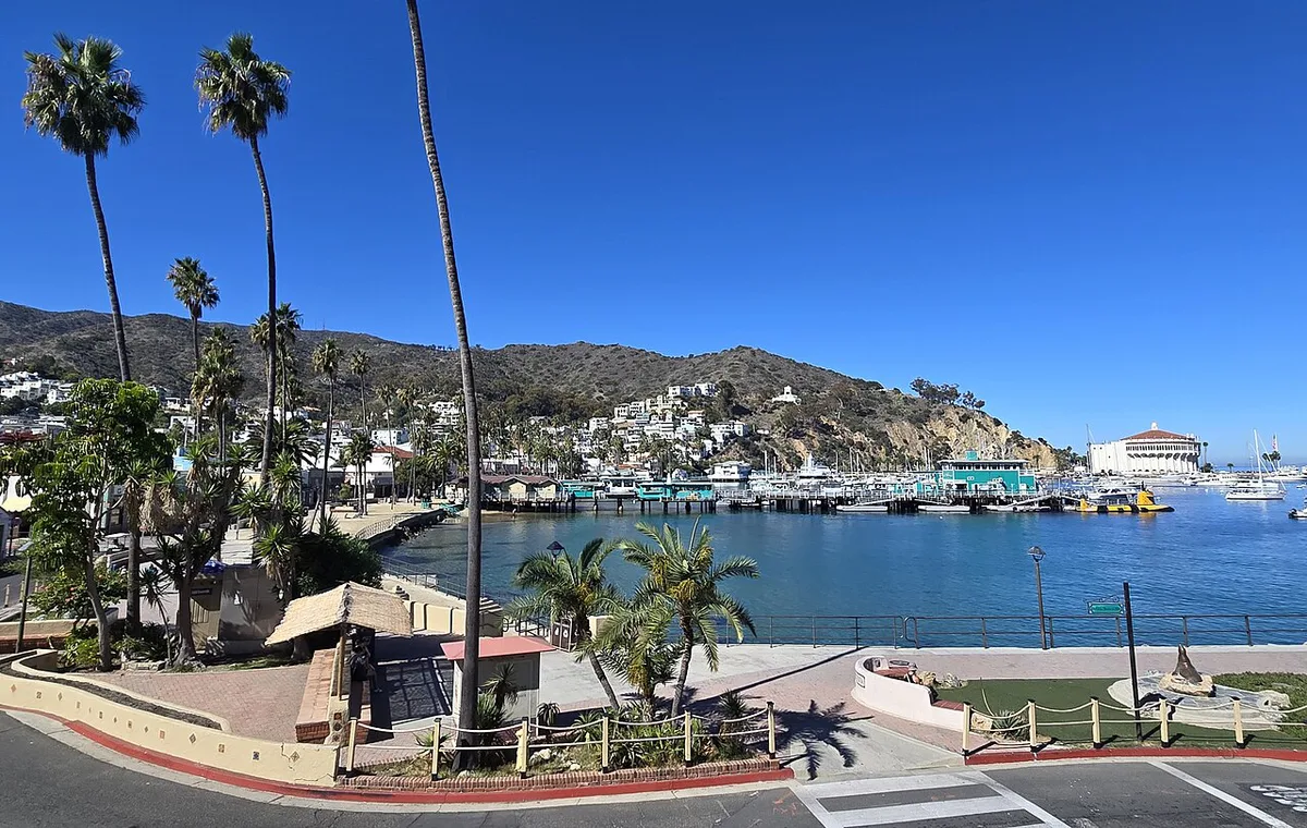 Amtrak Pacific Surfliner train running along the Southern California coast — 1