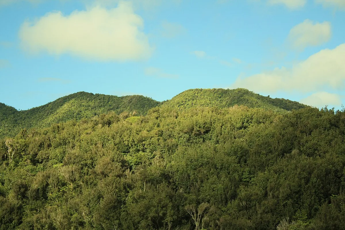 La Coca Falls cascading over rocks in El Yunque National Forest — 2