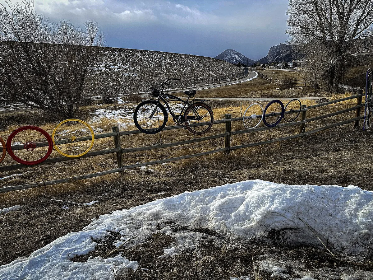 Elk grazing near the riverwalk in downtown Estes Park, Colorado — 2