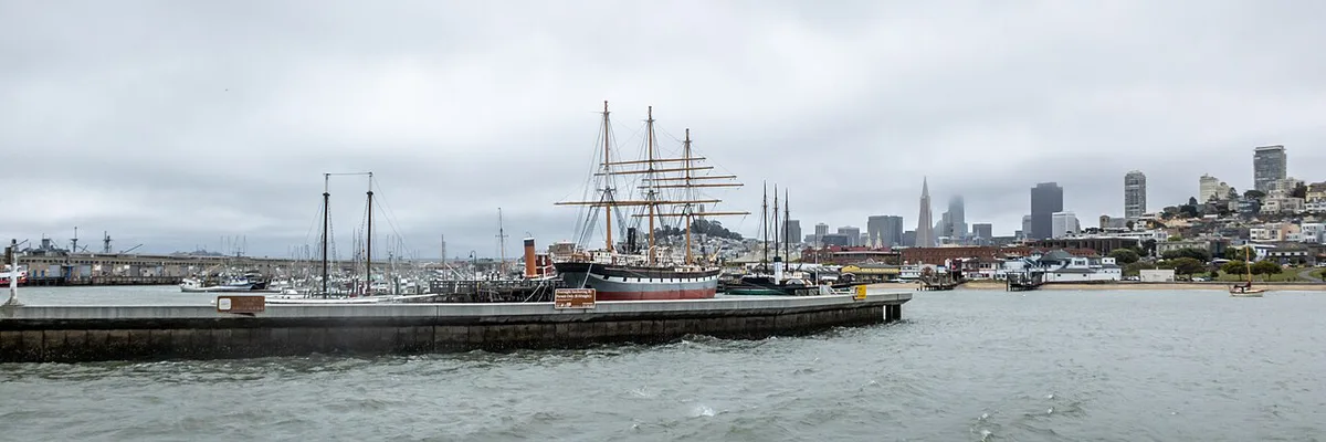 Sea lions crowded on the floating docks at Pier 39 — 2