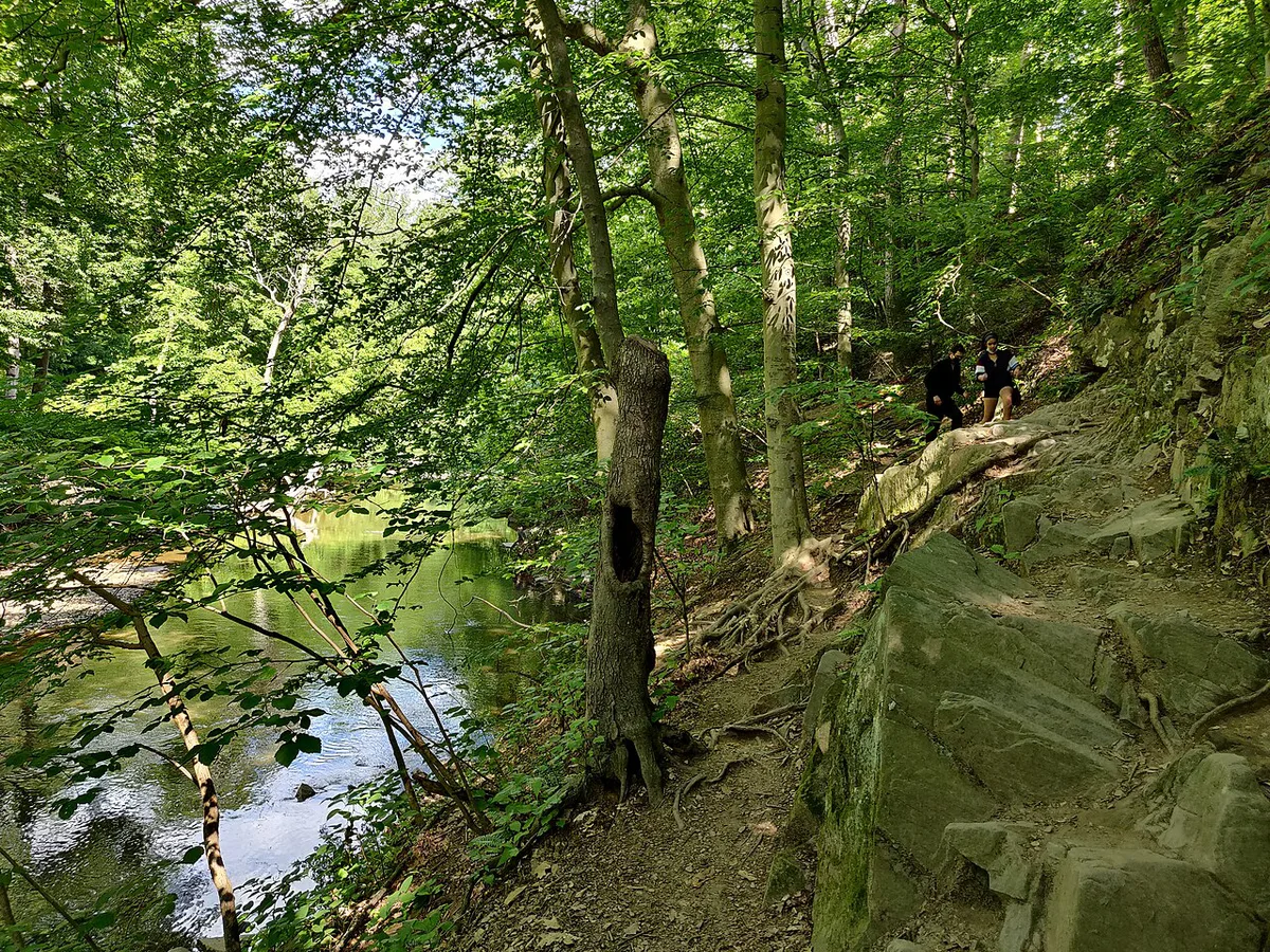 Rock Creek Park trail — 2