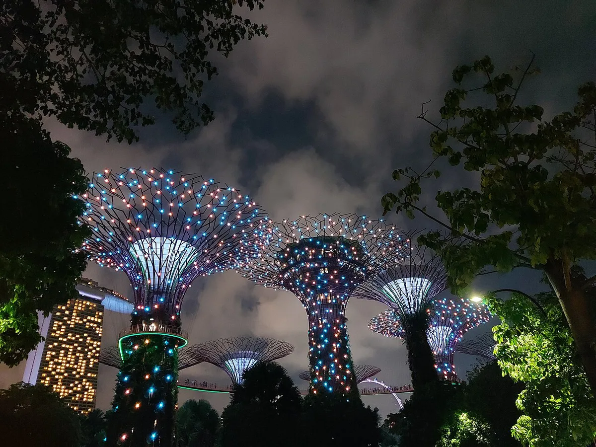Supertree Grove Singapore augusti 2023 04 — 1
