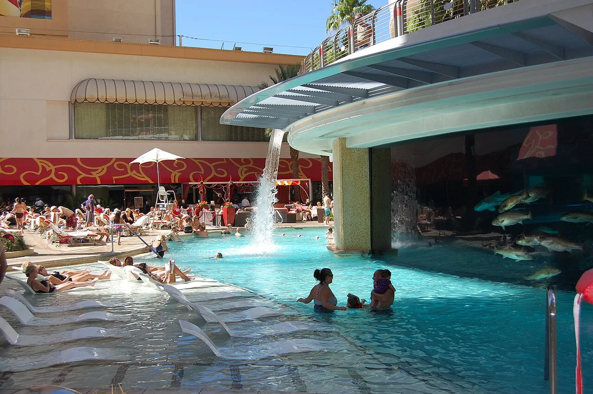 Golden Nugget - swimming — 2