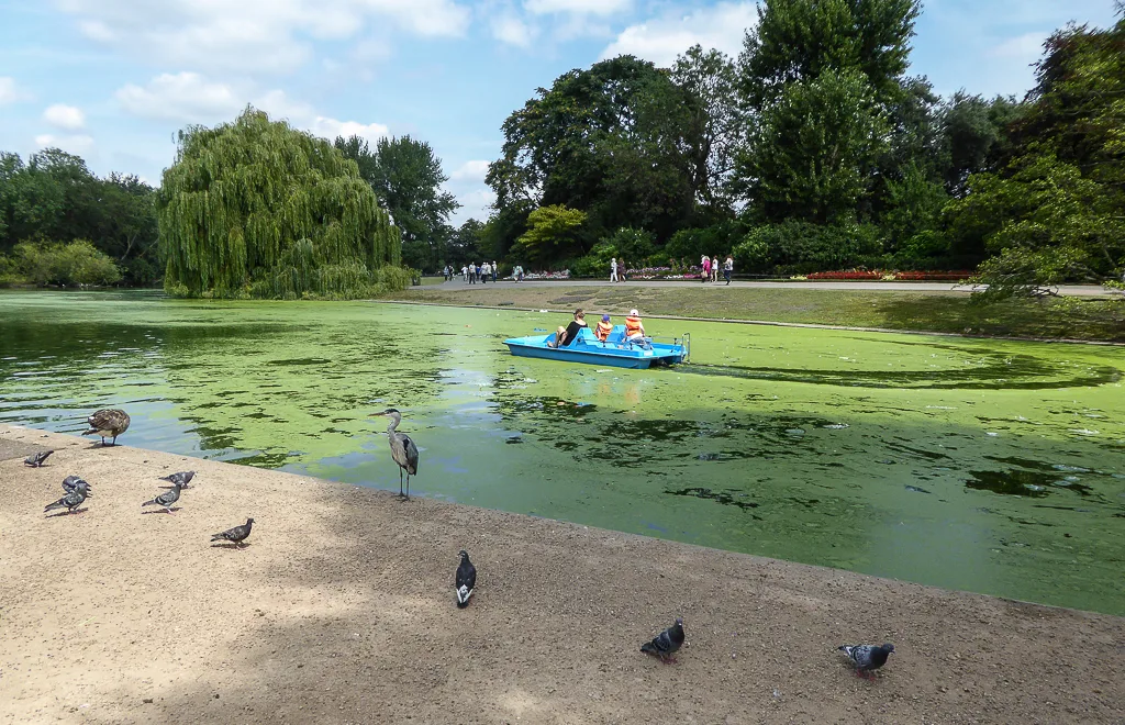 Pedal boats on the Serpentine lake in Hyde Park — 2