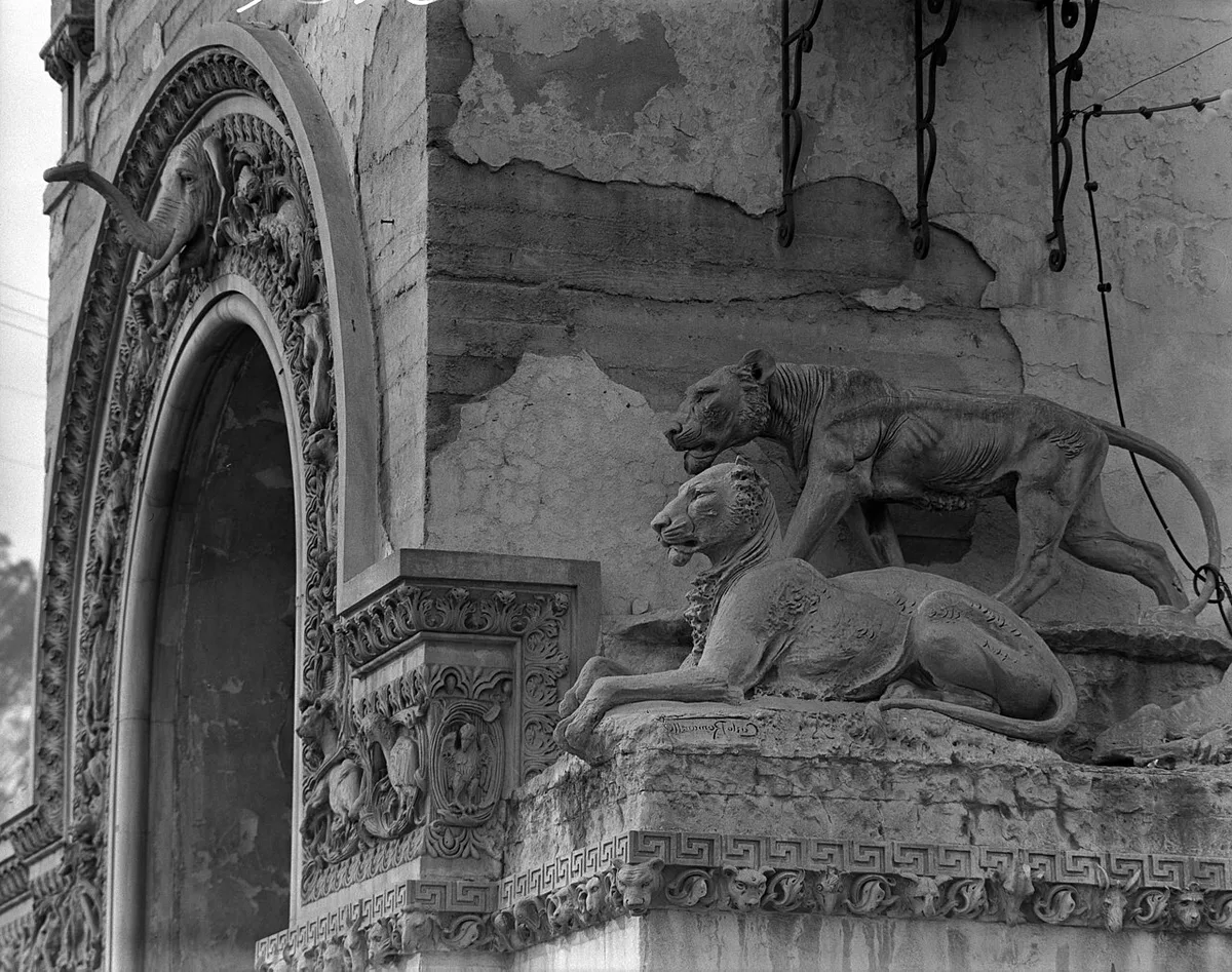 Know Your City No.15 Lionesses on archway of entrance to the Selig Zoo — 1