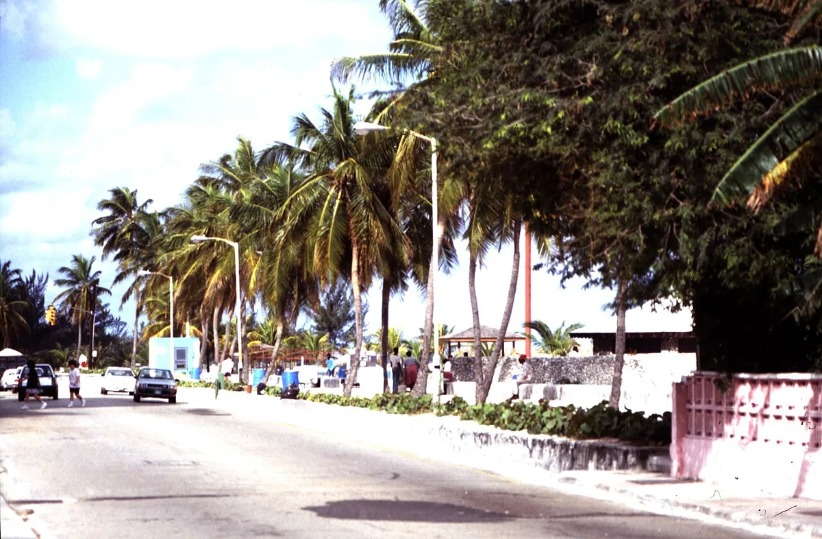Cruise ships docked at Prince George Wharf in Nassau — 2
