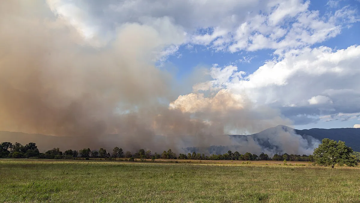 Cades Cove fire GSMNP TN1 — 1