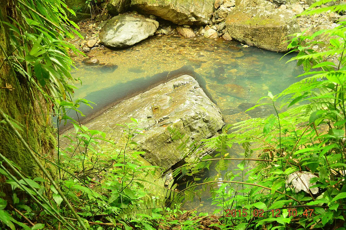 The La Mina river and trail in El Yunque — 2