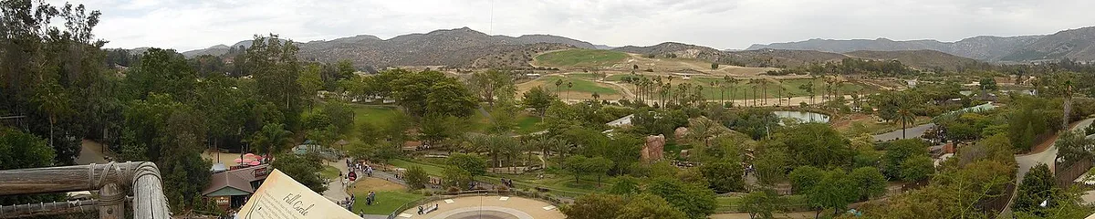 Giraffes on the open savanna at San Diego Zoo Safari Park — 2