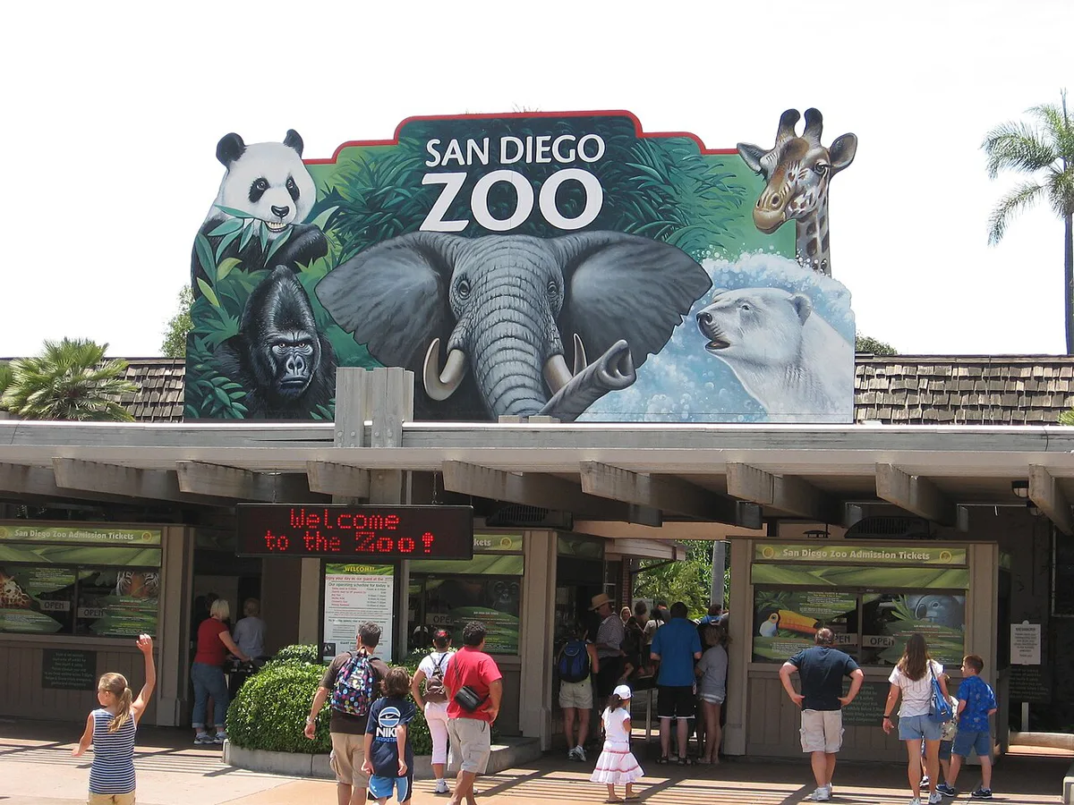 Skyfari aerial tram gondolas above the San Diego Zoo treetops — 1