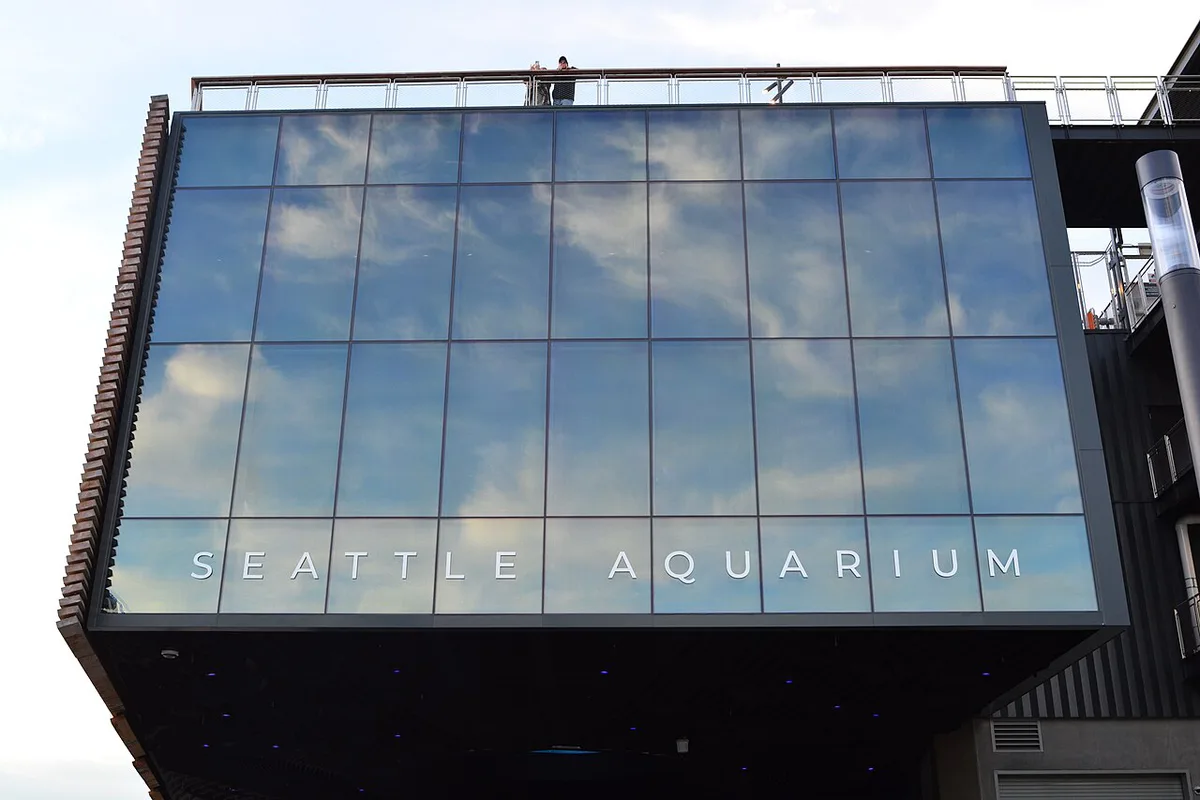 Children watching a sea otter through the glass at the Seattle Aquarium — 2