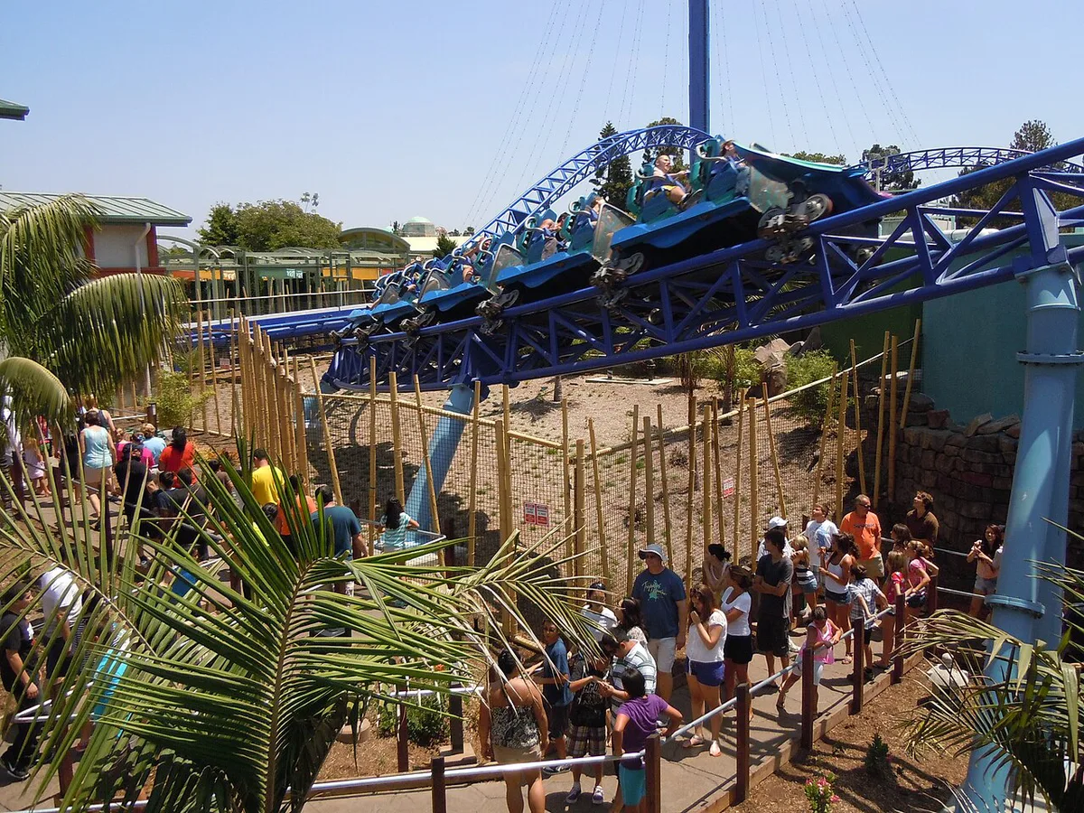 Families watching a dolphin presentation at SeaWorld San Diego — 1