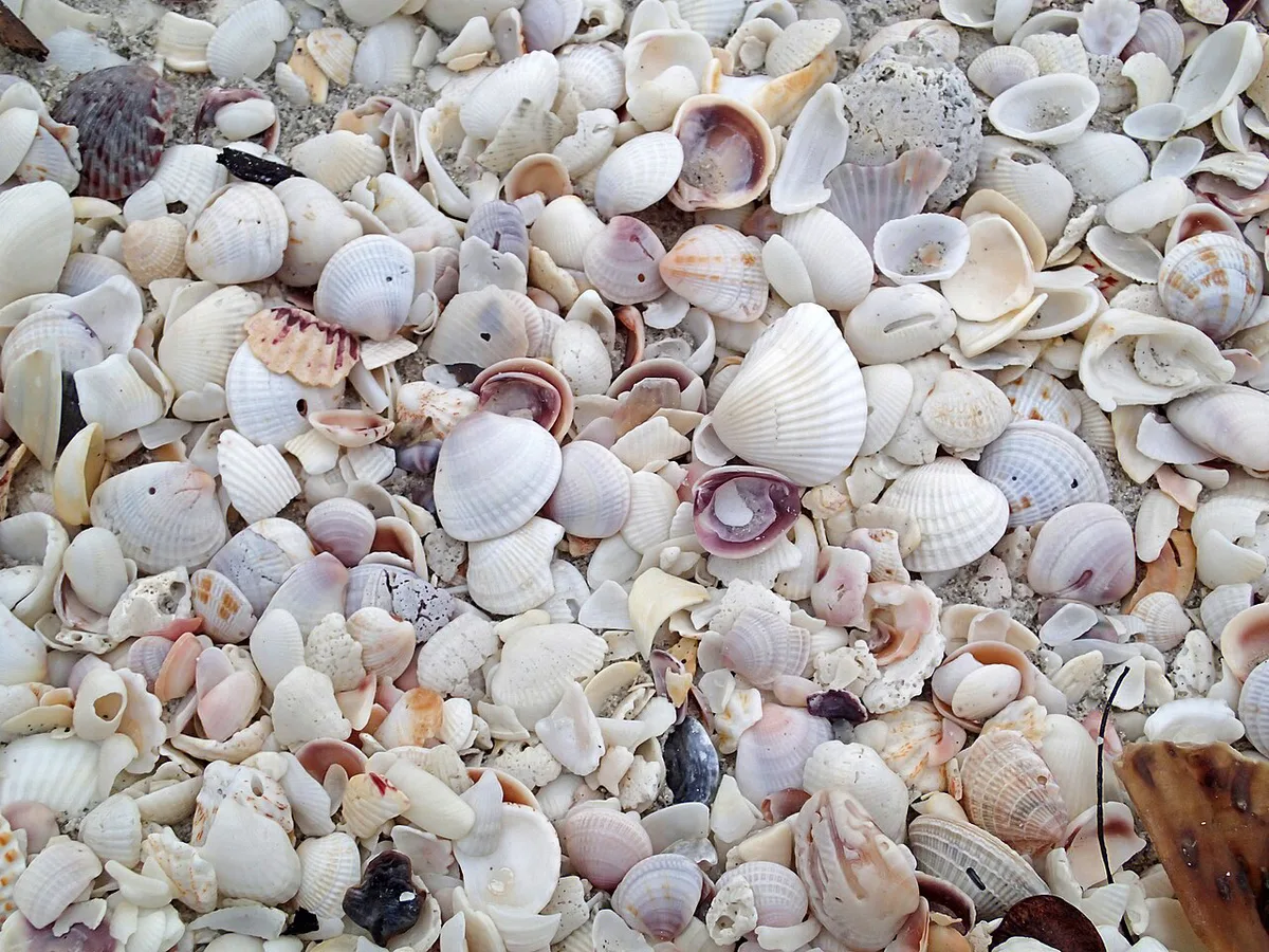 Family walking a white-sand Gulf Coast beach in spring — 1