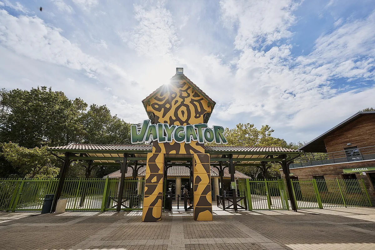 Walygator-S01-HD-123 — 1
