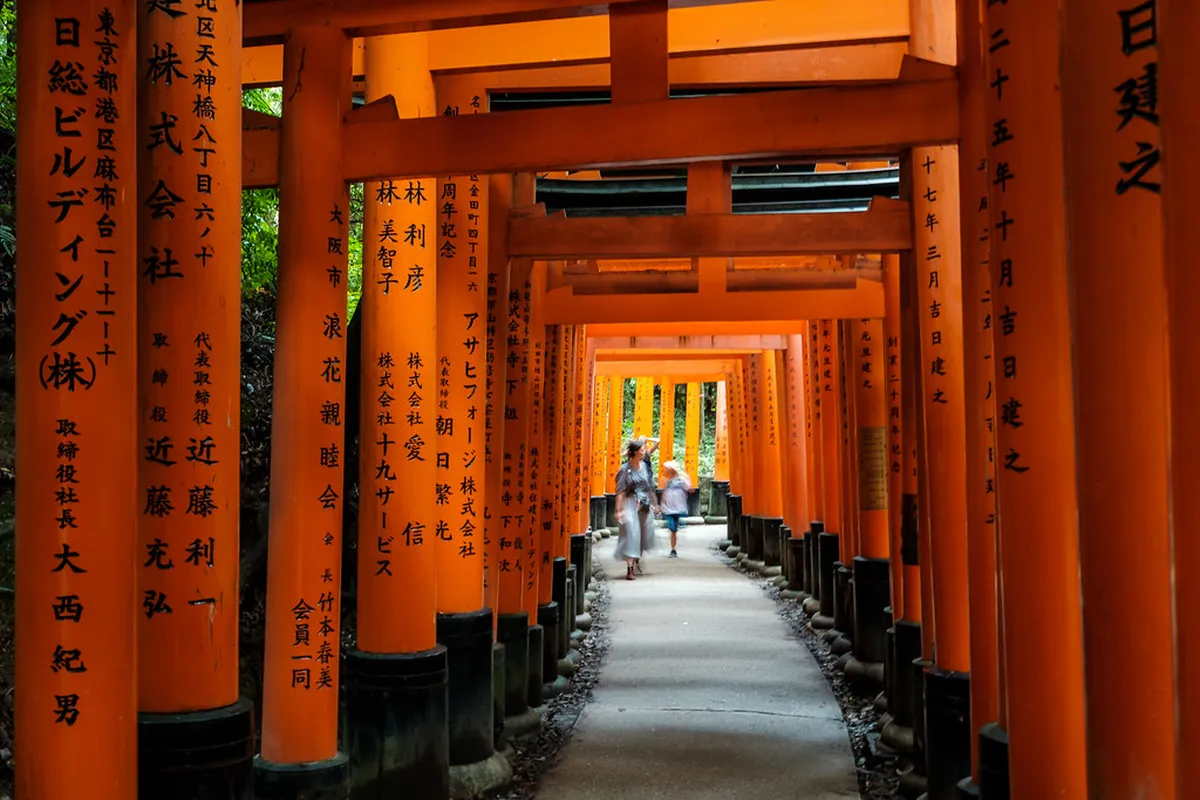 Family Trip or Student Travel Program? Compare Before You Book