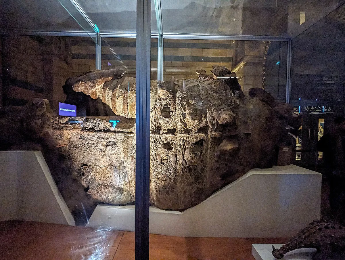 Entrance of the Witte Museum on Broadway in San Antonio — 2