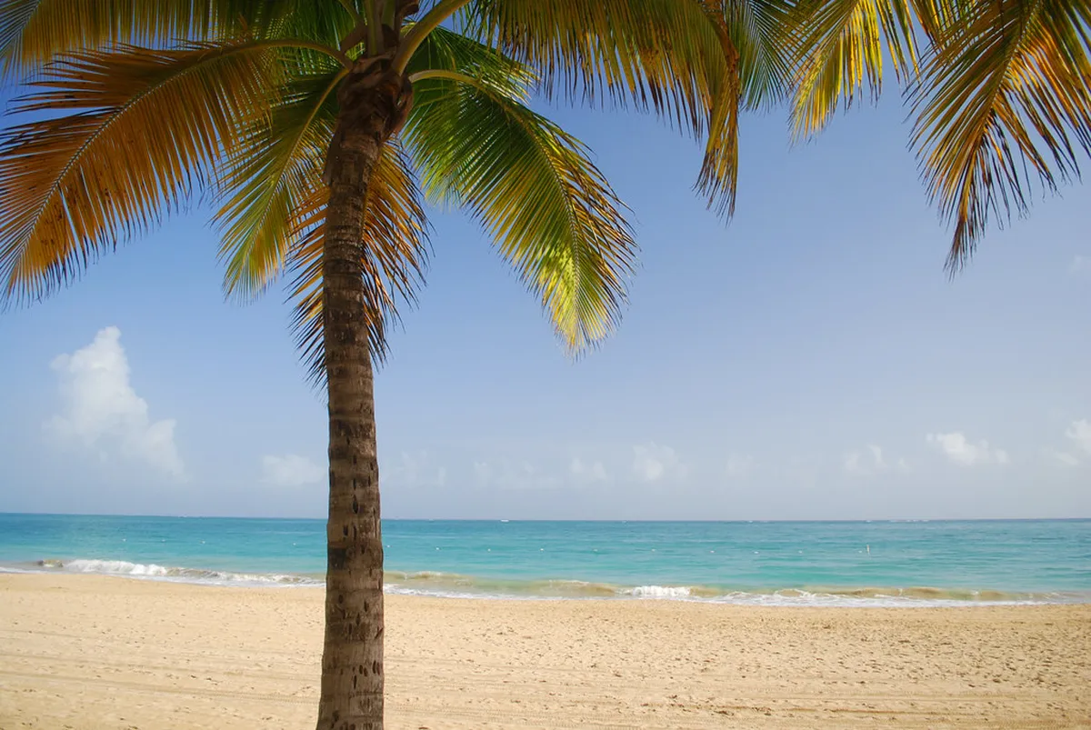 Costs, Tickets, and the Best Time to Visit with Kids in Cancun