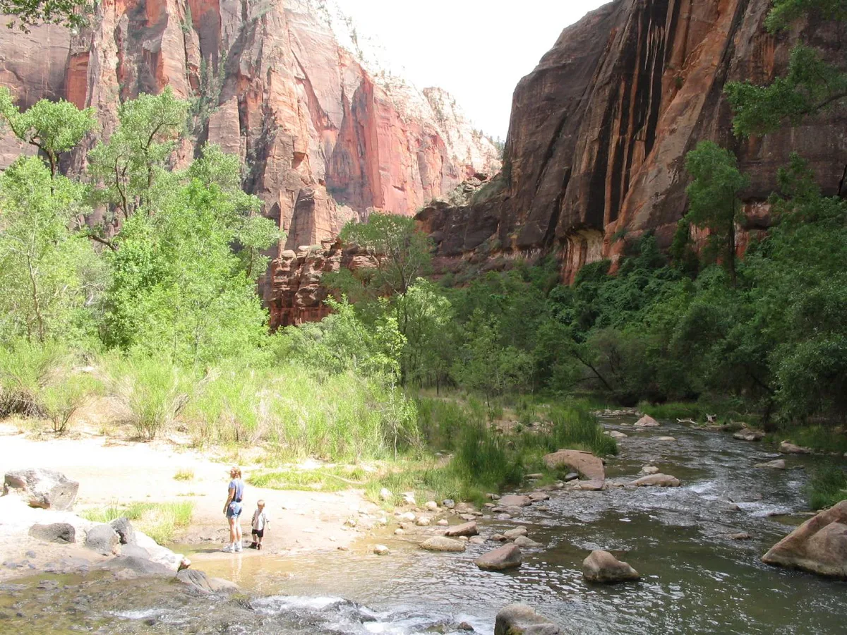 Virgin River and canyon walls along Riverside Walk in Zion — 2